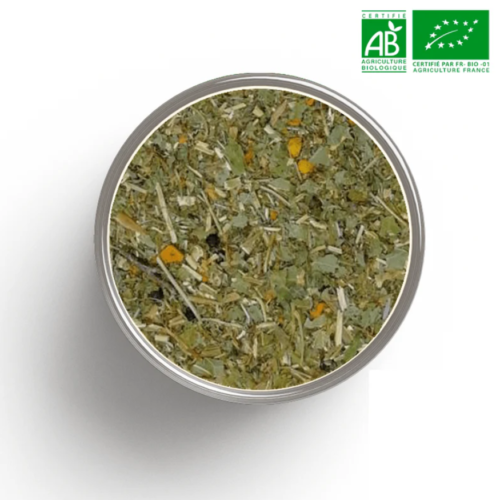 Récup’Articula infusion bio articulation récupération